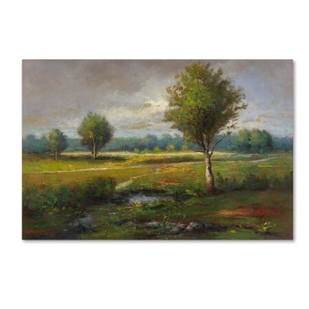 Trademark Fine Art Daniel Moises 'Lonely Tree' Canvas Art, 16x24 MA0754-C1624GG